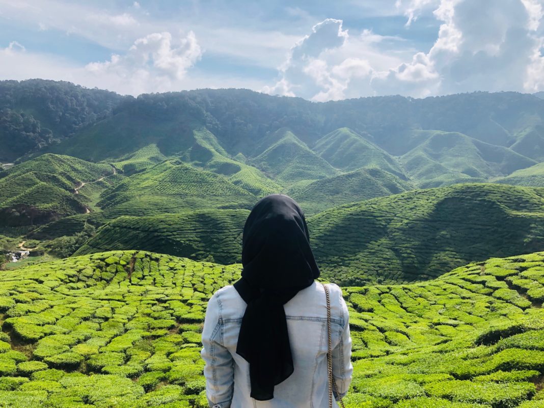 trip ke cameron highland balik hari